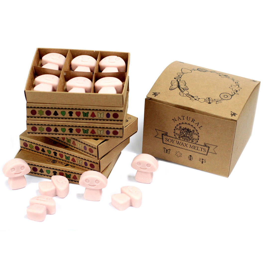 Cajas de 6 Ceras de Soja - JENGIBRE